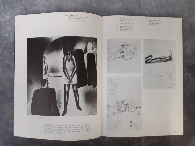 Boek: Frits Van den Berghe