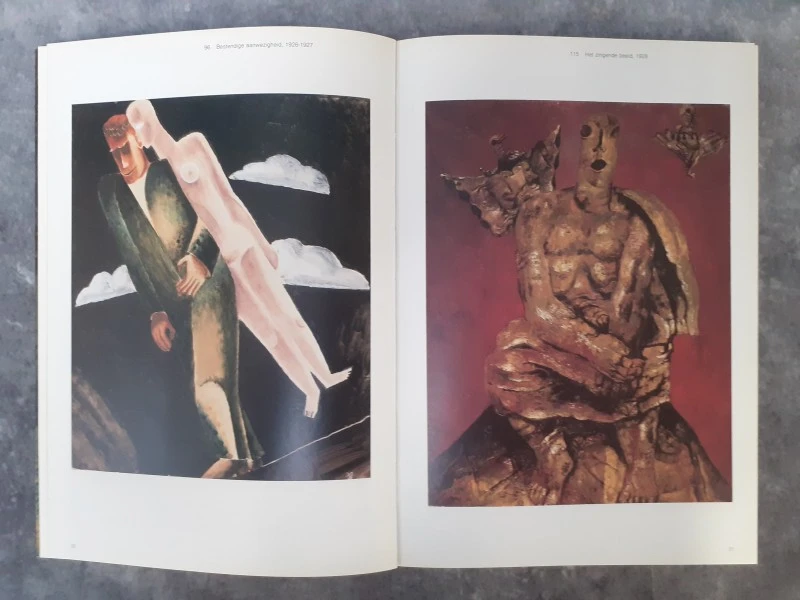 Boek: Frits Van den Berghe