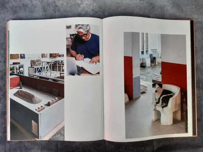 Boek: Bijoy Jaini - Breath of an Architect