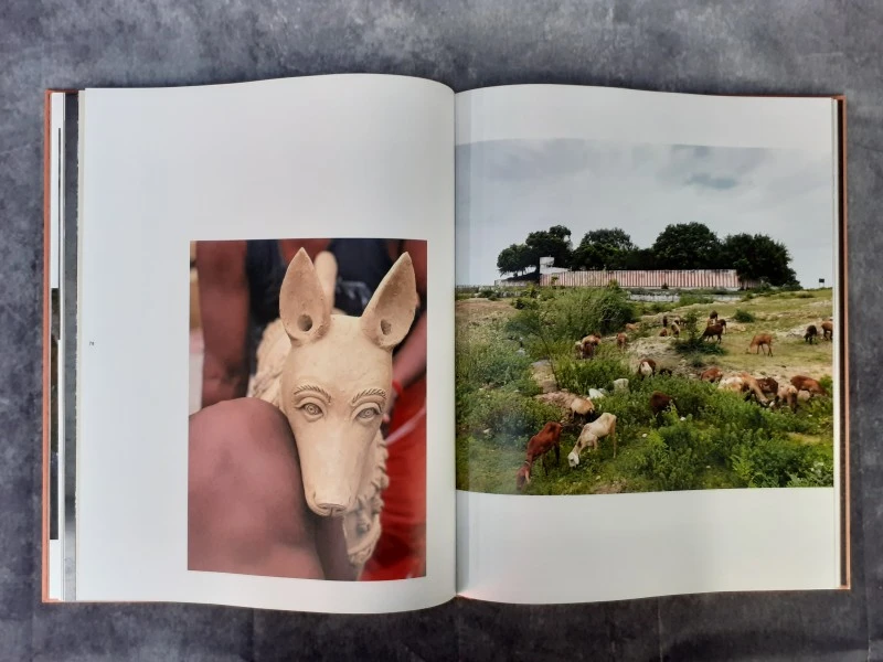 Boek: Bijoy Jaini - Breath of an Architect