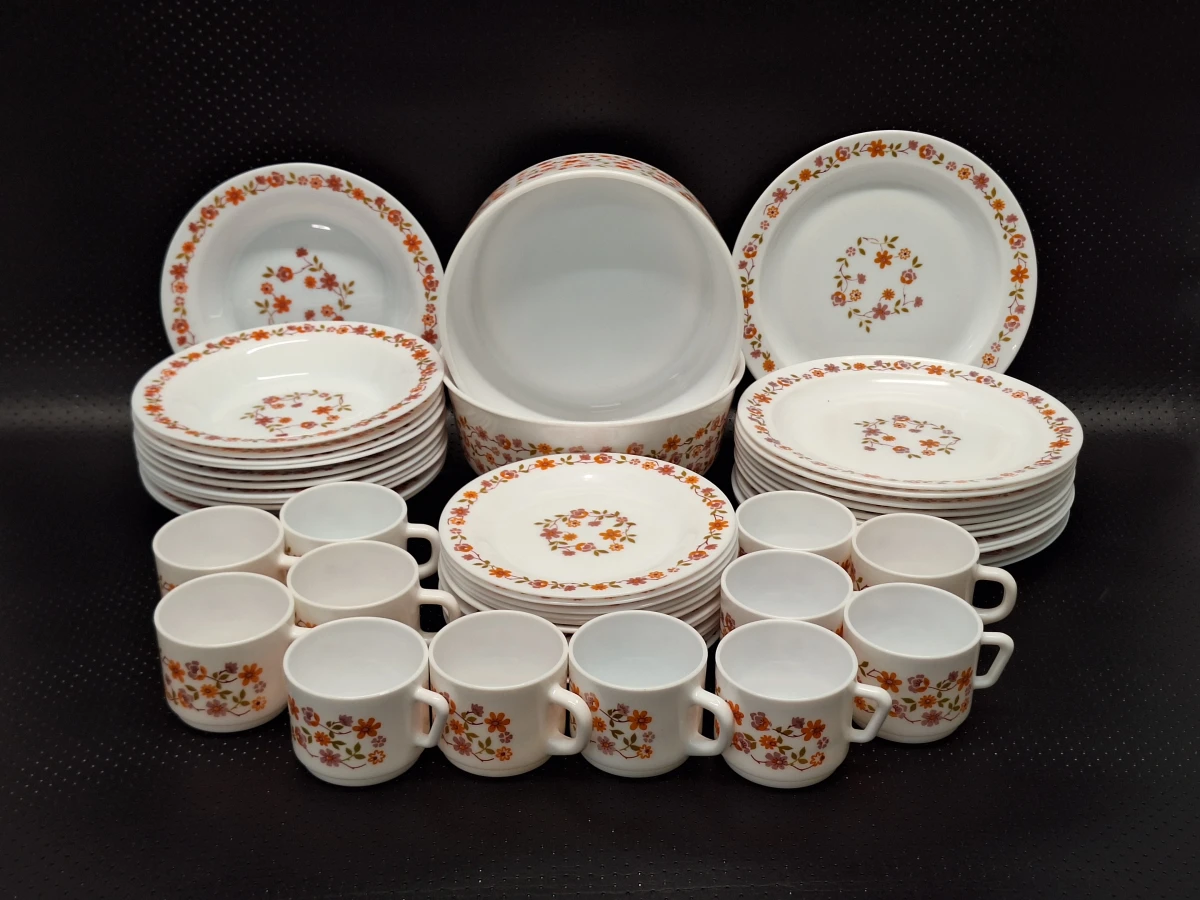 Vintage Arcopal 50-delig servies uit de jaren 70 - Scania decor
