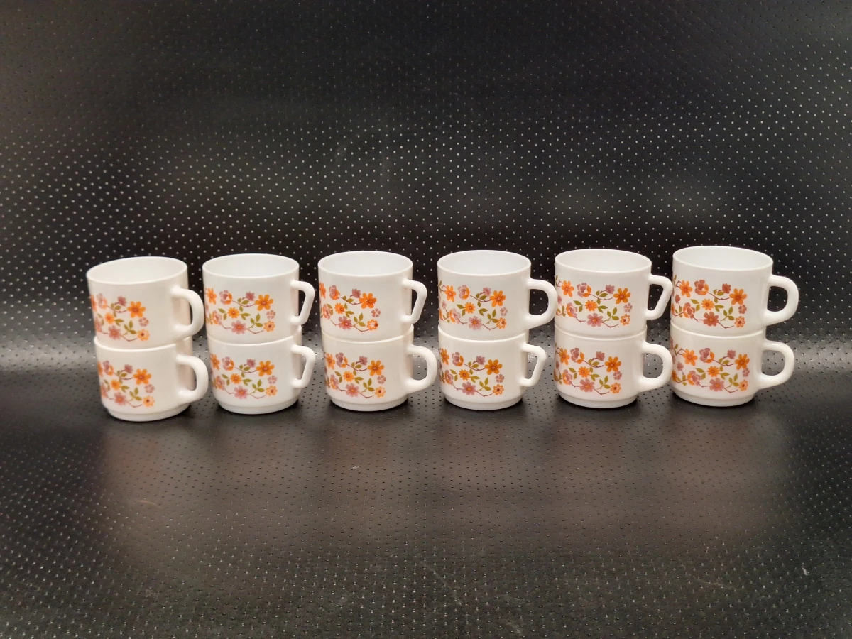 Vintage Arcopal 50-delig servies uit de jaren 70 - Scania decor