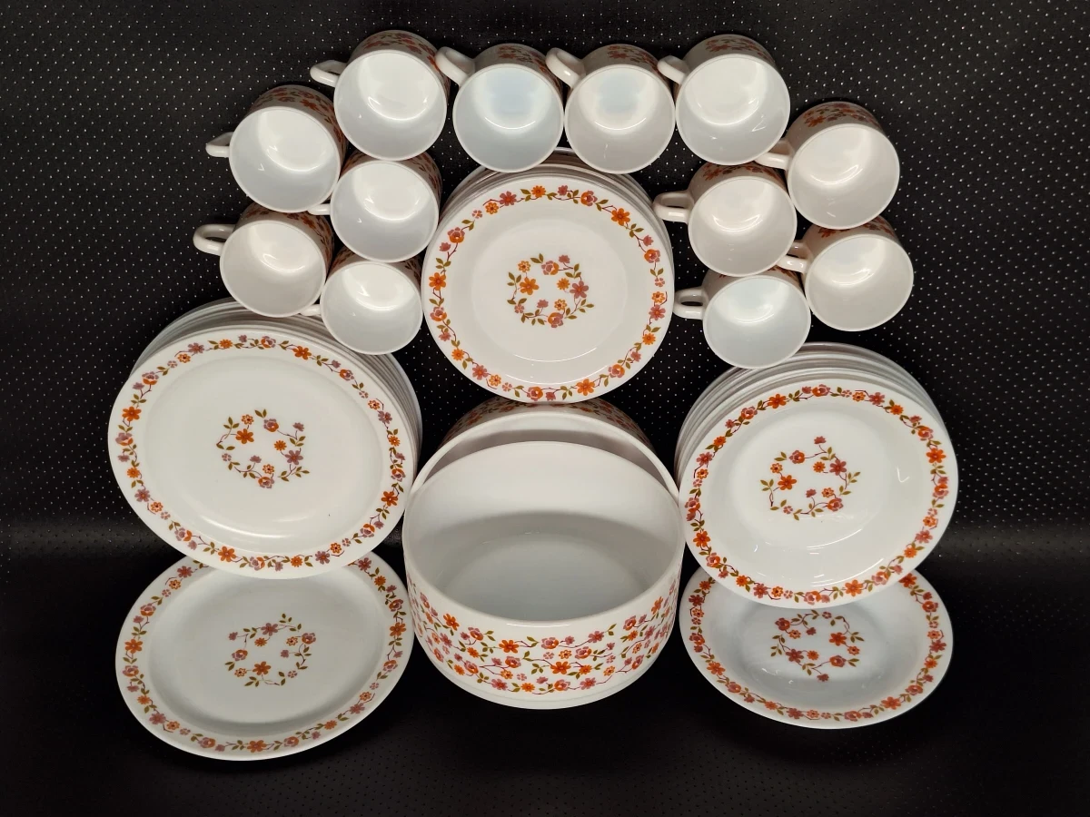 Vintage Arcopal 50-delig servies uit de jaren 70 - Scania decor
