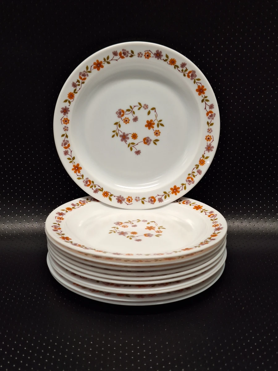 Vintage Arcopal 50-delig servies uit de jaren 70 - Scania decor