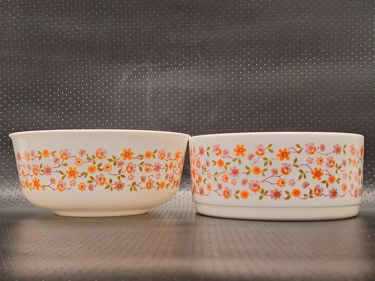 Vintage Arcopal 50-delig servies uit de jaren 70 - Scania decor