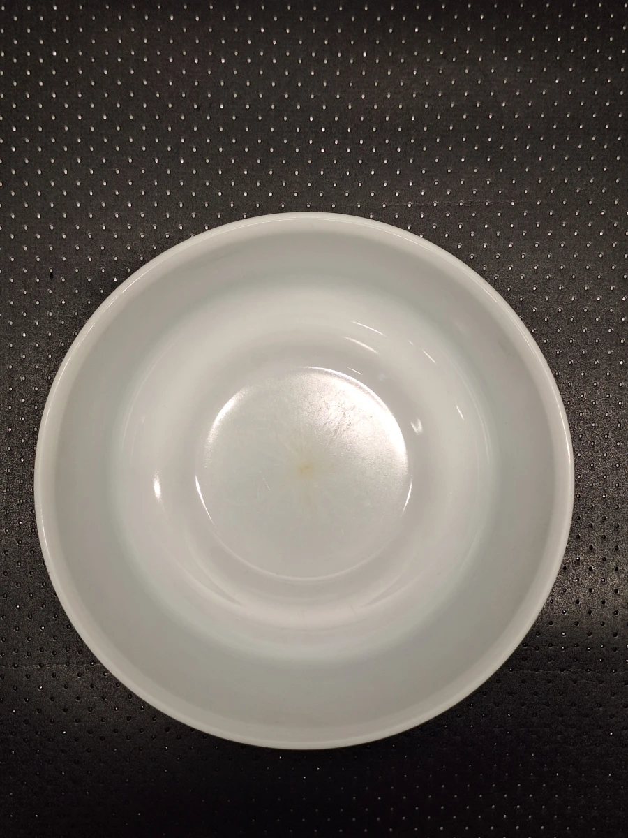 Vintage Arcopal 50-delig servies uit de jaren 70 - Scania decor