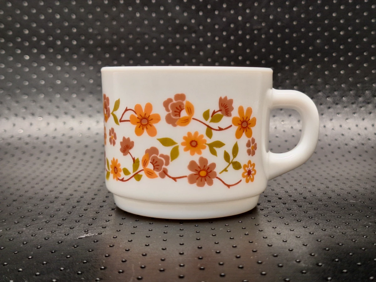 Vintage Arcopal 50-delig servies uit de jaren 70 - Scania decor