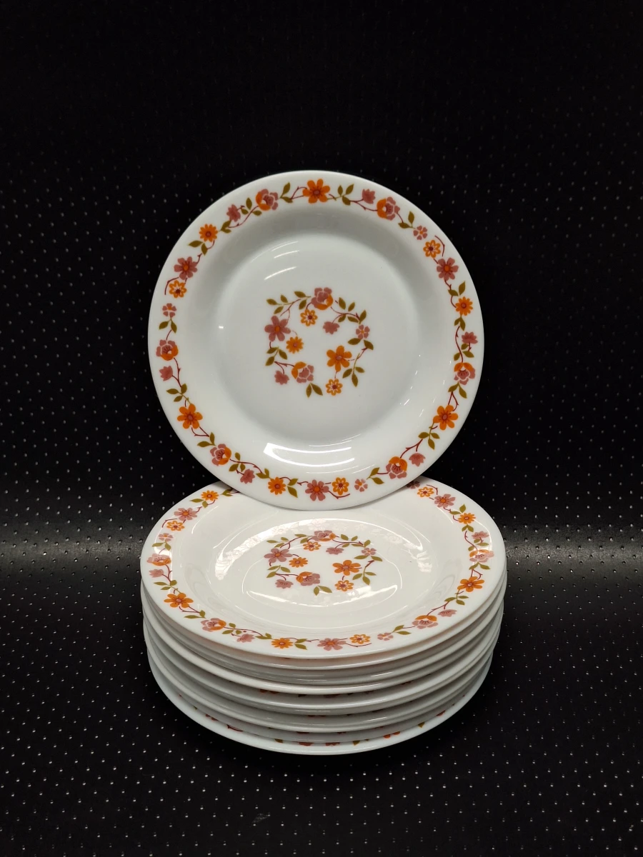 Vintage Arcopal 50-delig servies uit de jaren 70 - Scania decor