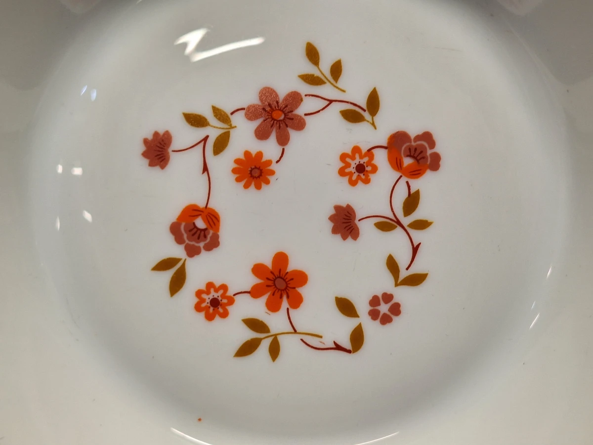 Vintage Arcopal 50-delig servies uit de jaren 70 - Scania decor