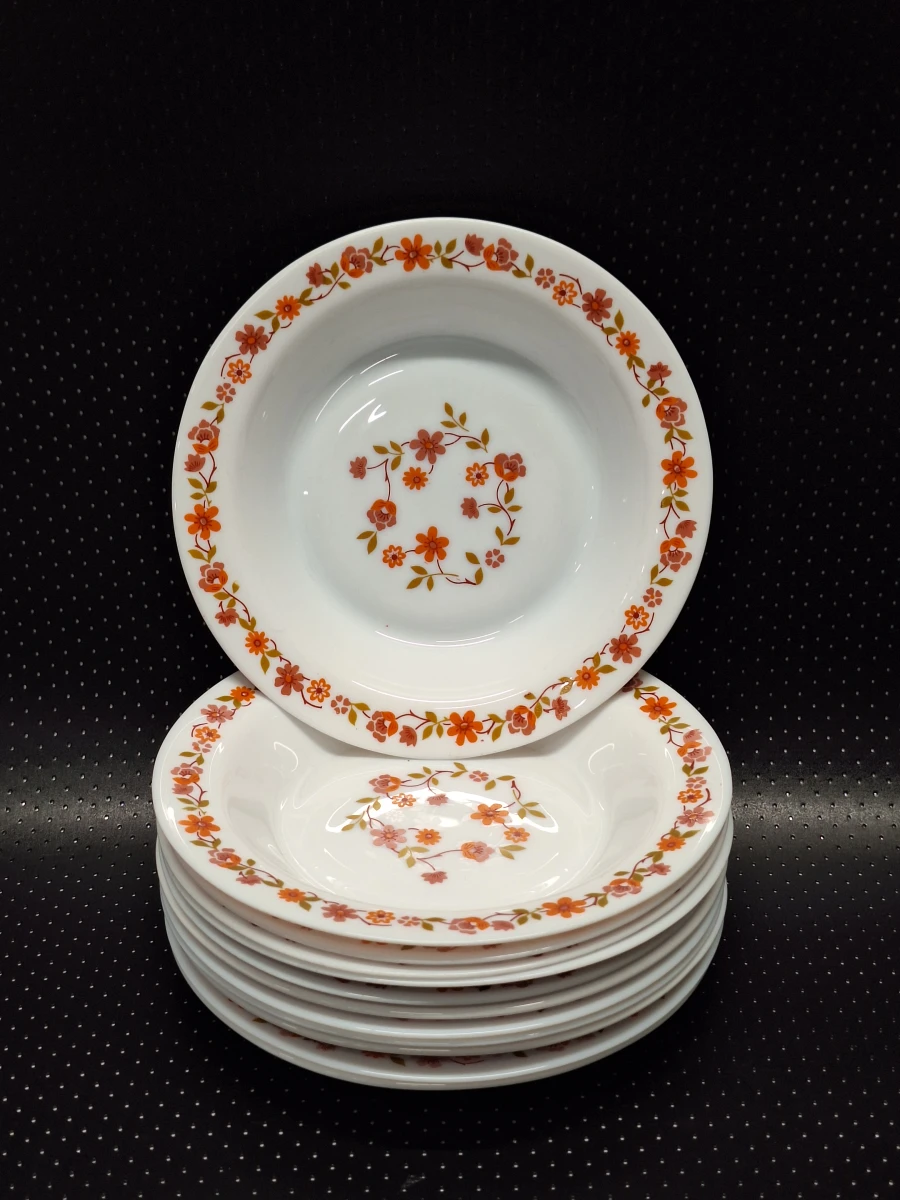 Vintage Arcopal 50-delig servies uit de jaren 70 - Scania decor
