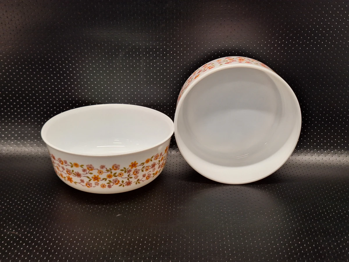 Vintage Arcopal 50-delig servies uit de jaren 70 - Scania decor
