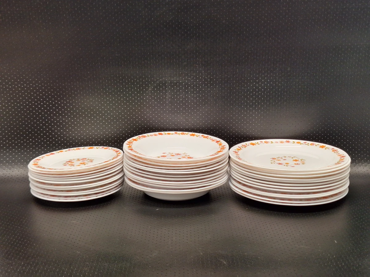 Vintage Arcopal 50-delig servies uit de jaren 70 - Scania decor