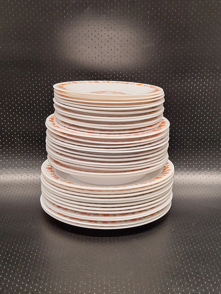 Vintage Arcopal 50-delig servies uit de jaren 70 - Scania decor