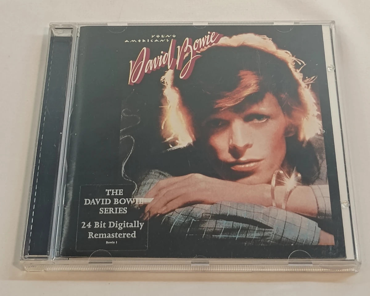Verzameling van 14 David Bowie CD's