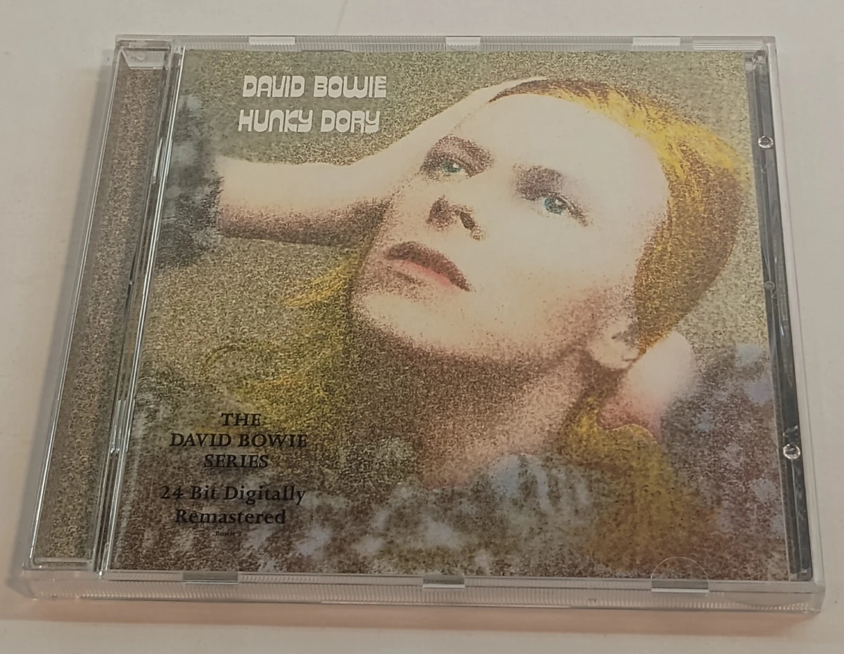 Verzameling van 14 David Bowie CD's