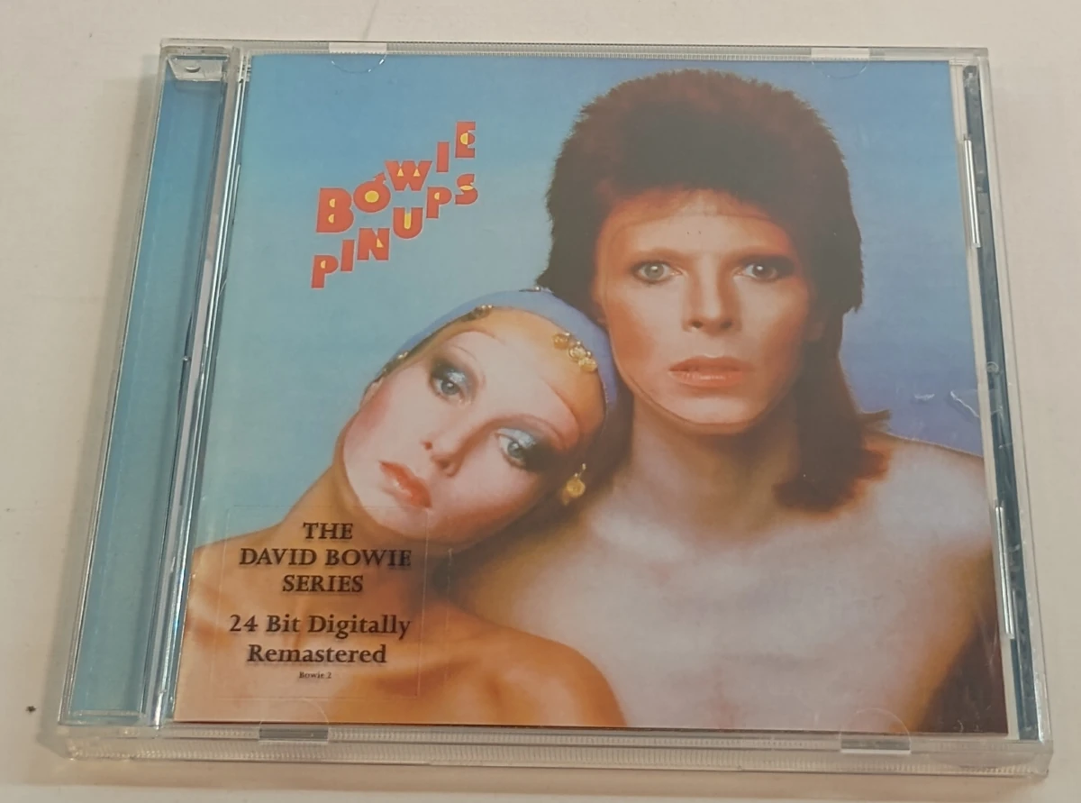 Verzameling van 14 David Bowie CD's