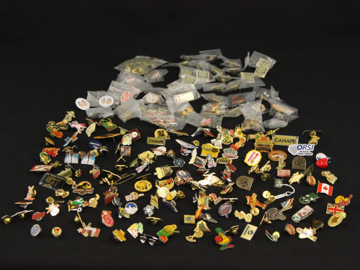 Verzameling van 100 kleurrijke pins in verschillende materialen en thema's