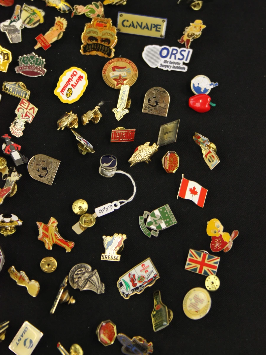 Verzameling van 100 kleurrijke pins in verschillende materialen en thema's
