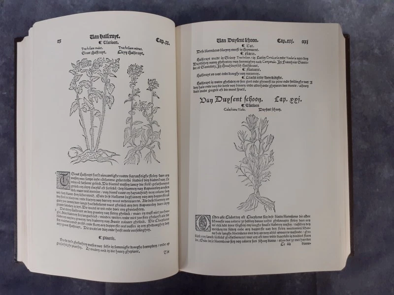 Boek: Cruijdenboeck - foto 5