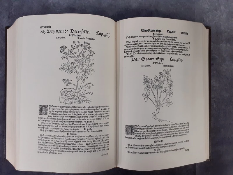 Boek: Cruijdenboeck - foto 10