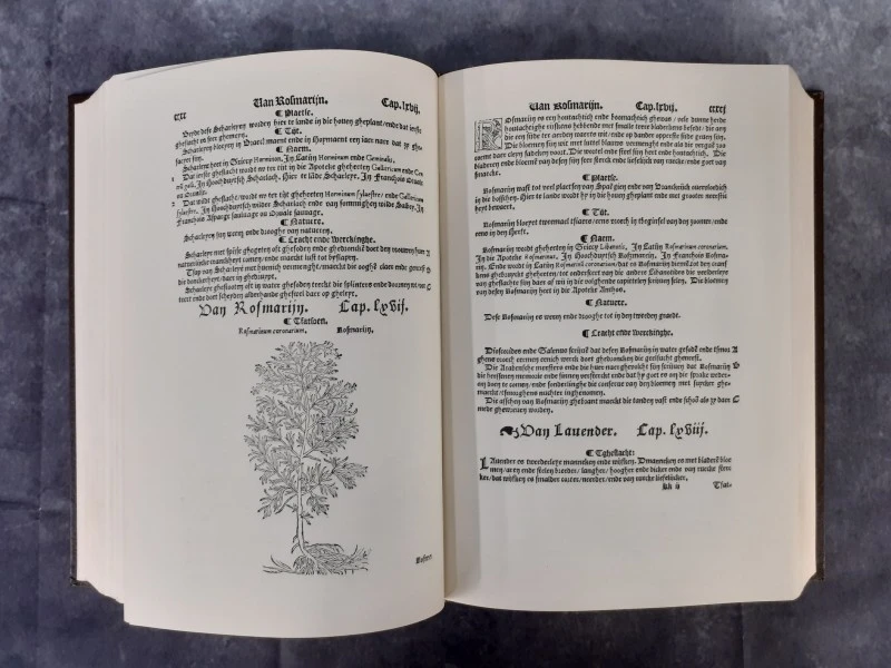 Boek: Cruijdenboeck - foto 6