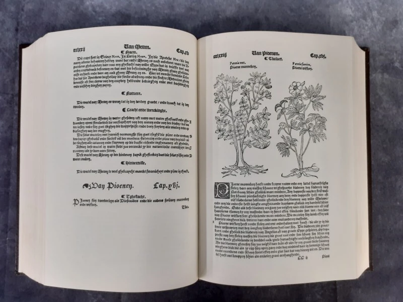 Boek: Cruijdenboeck - foto 7