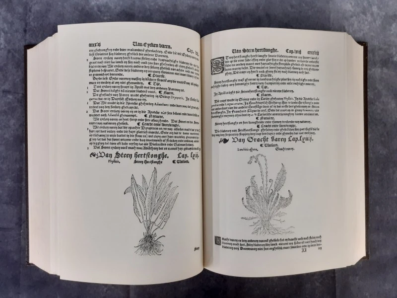 Boek: Cruijdenboeck - foto 8