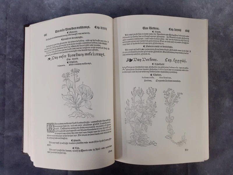 Boek: Cruijdenboeck - foto 4