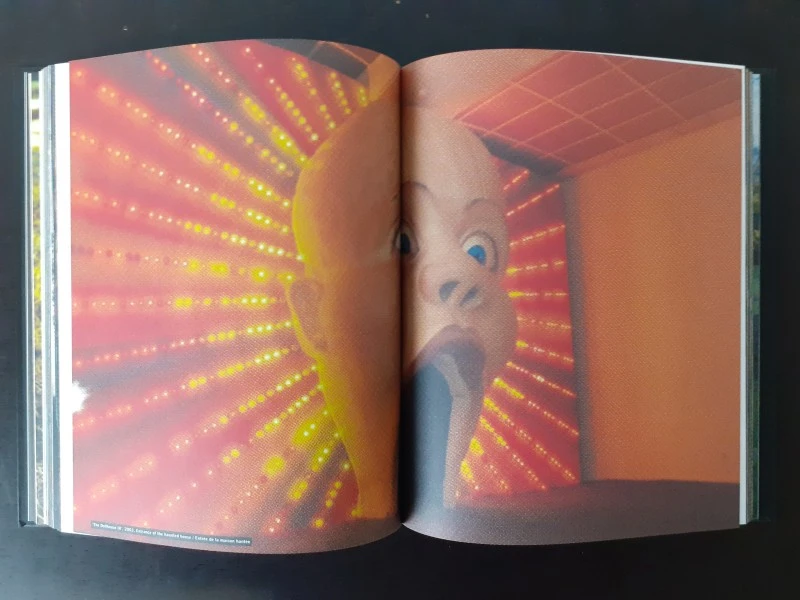 Boek: Christophe Coppens: Homework