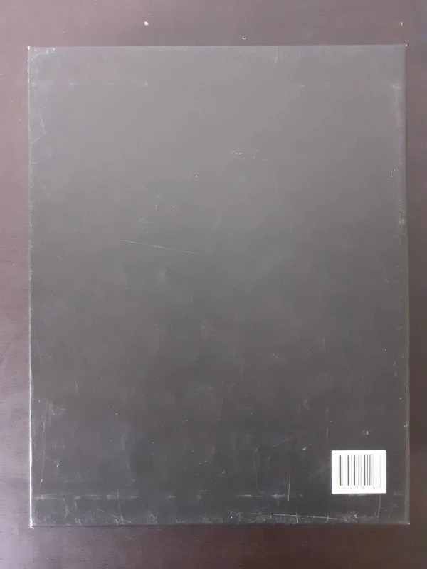 Boek: Christophe Coppens: Homework