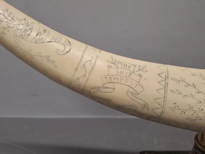 Decoratieve imitatie slagtand / scrimshaw op marmeren voet met gravures