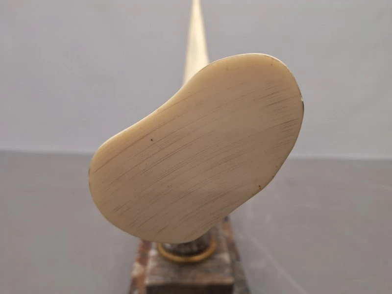 Decoratieve imitatie slagtand / scrimshaw op marmeren voet met gravures
