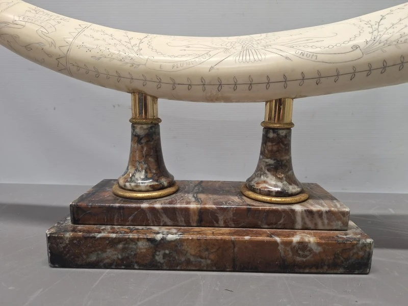 Decoratieve imitatie slagtand / scrimshaw op marmeren voet met gravures