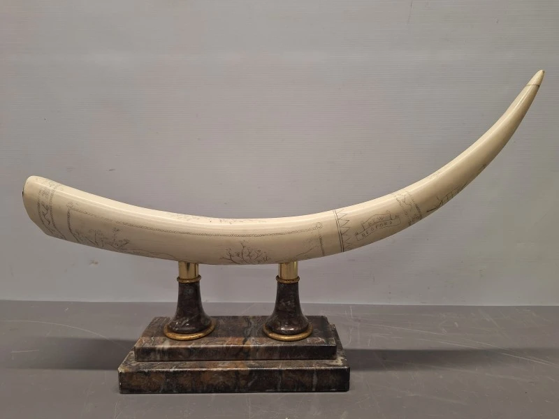 Decoratieve imitatie slagtand / scrimshaw op marmeren voet met gravures