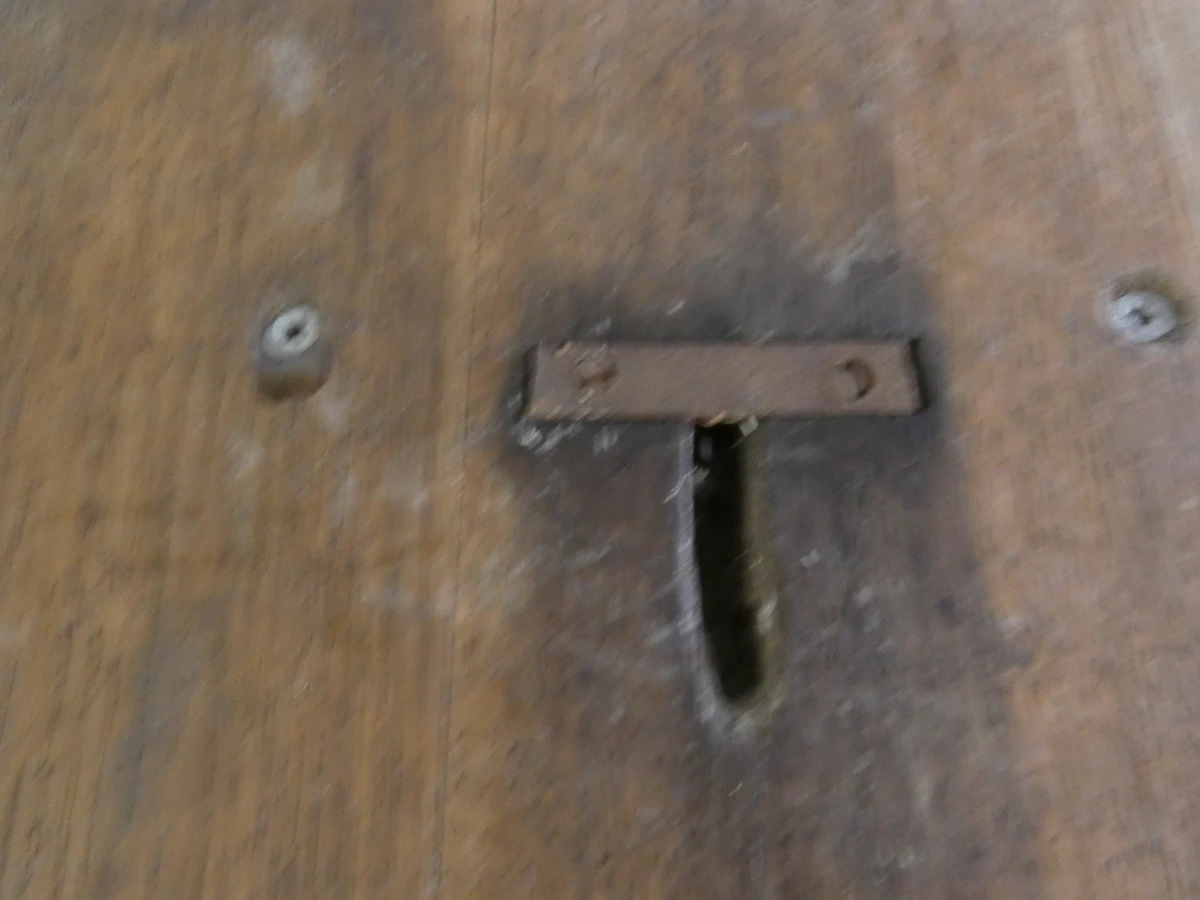 Grote buffel schedel op houten schild