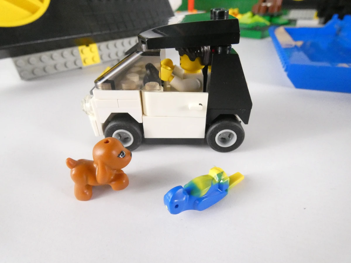 Grote verzameling LEGO bouwstenen en accessoires