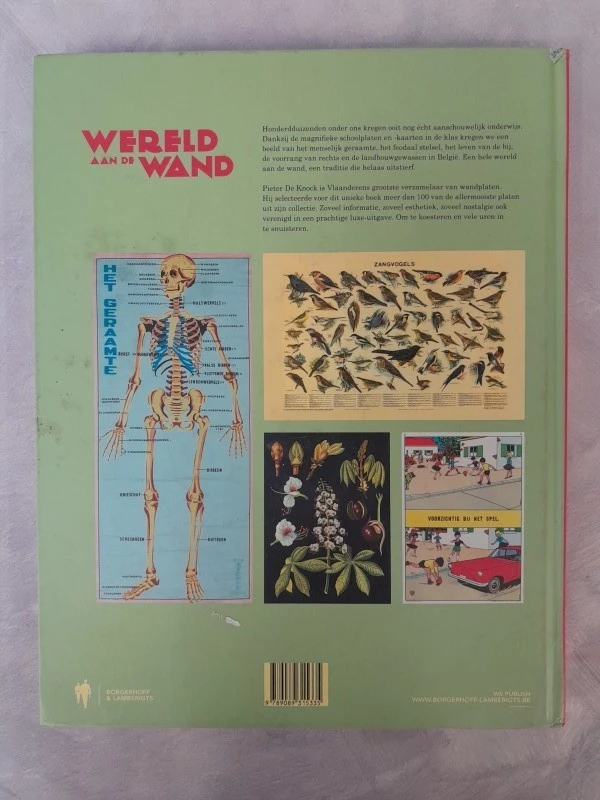 Pieter De Knock - Wereld aan de wand