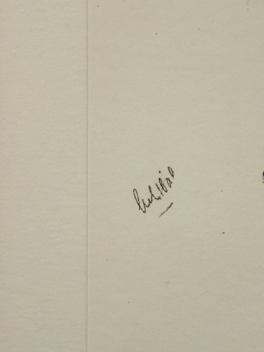 Gesigneerde lithografie 'Achter de Gevels' van Judith Vanistendael