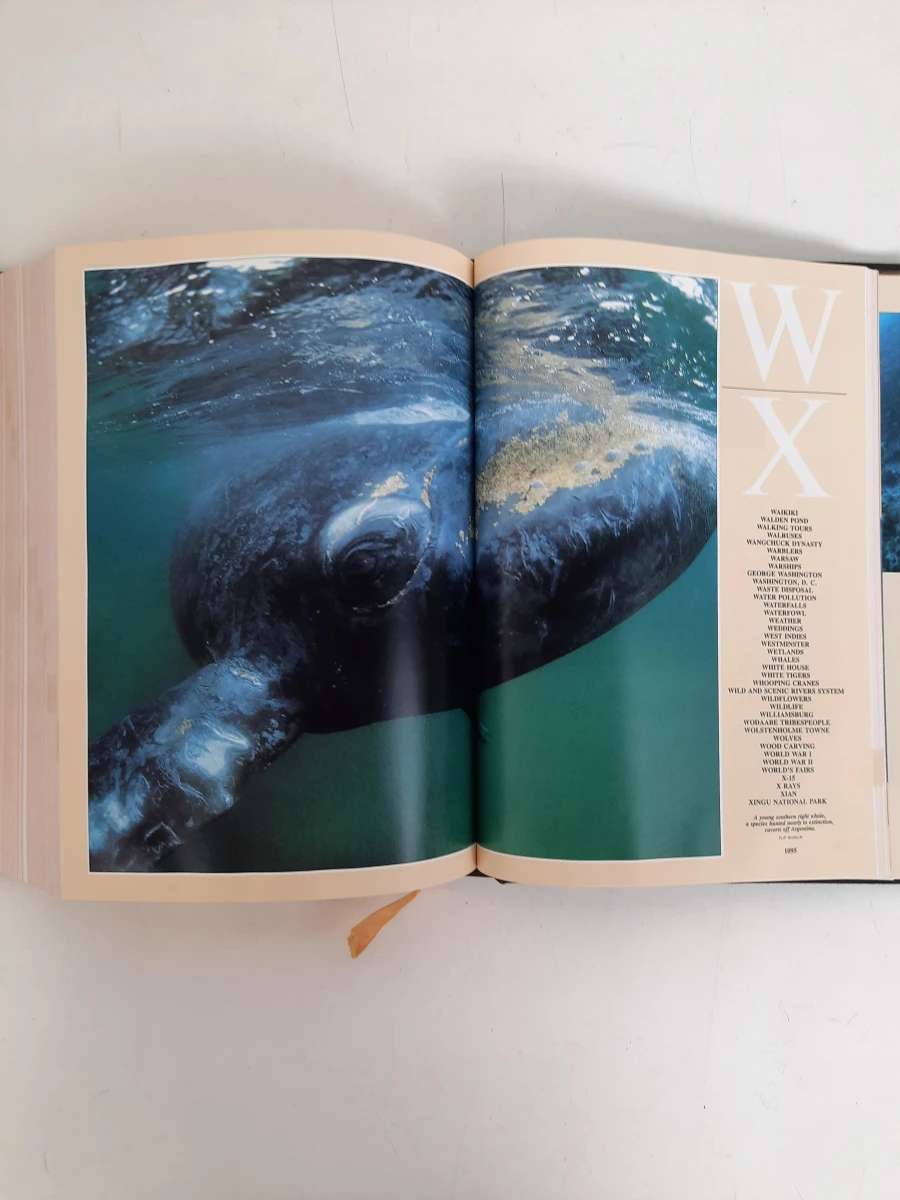 National Geographic Index 1888–1988 – Luxe Hardcover Jubileumeditie