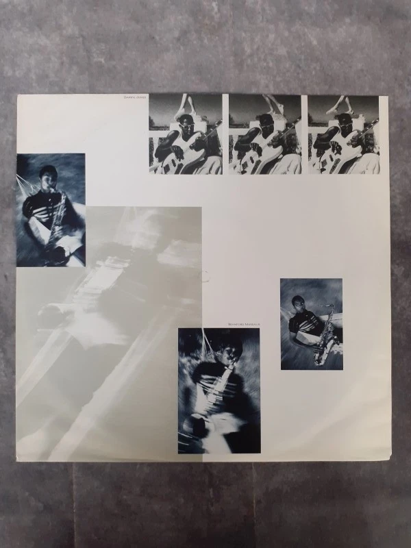 Vinyl: Sting - The Dream of the Blue Turtles - foto 5