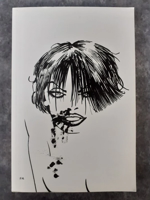Strips: Sin City vol. 1&2 - foto 7