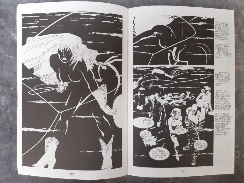 Strips: Sin City vol. 1&2 - foto 8