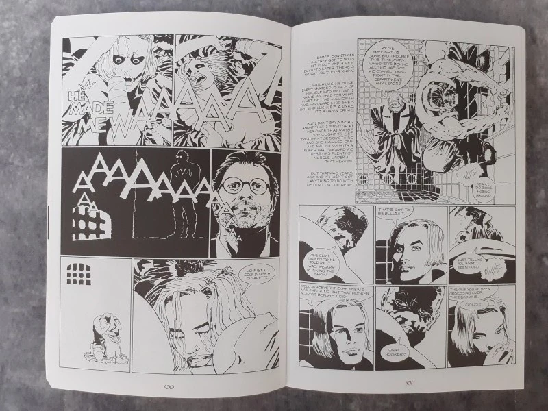 Strips: Sin City vol. 1&2 - foto 5