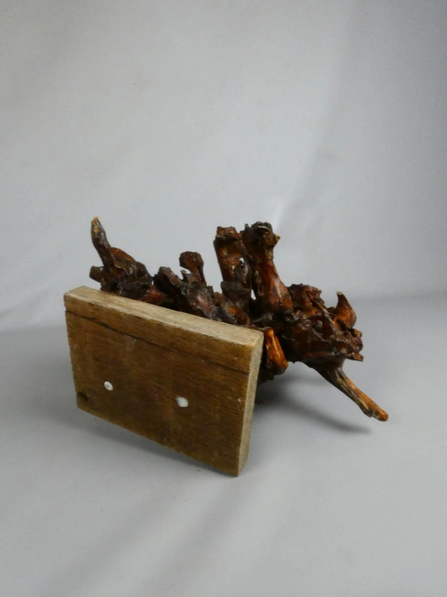 Oude decoratieve houten wortel op houten voet