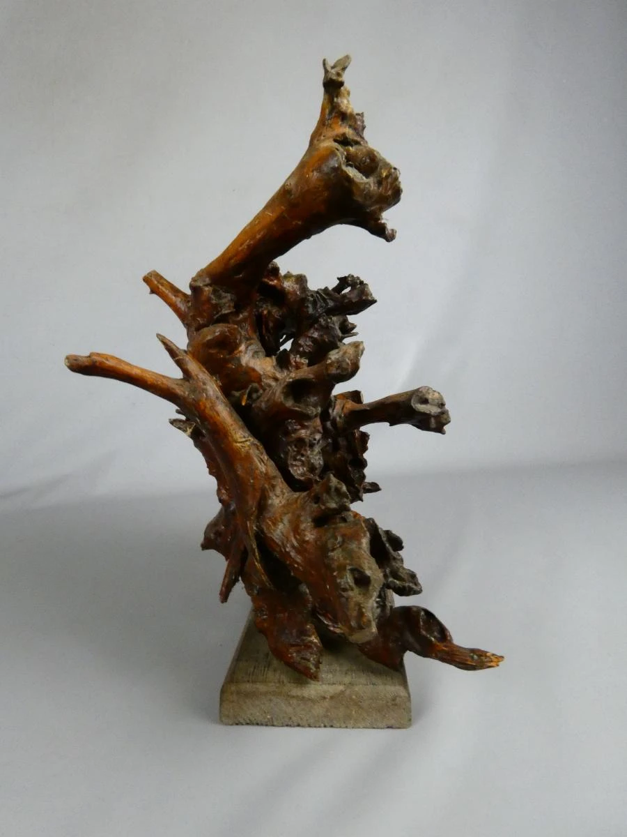 Oude decoratieve houten wortel op houten voet