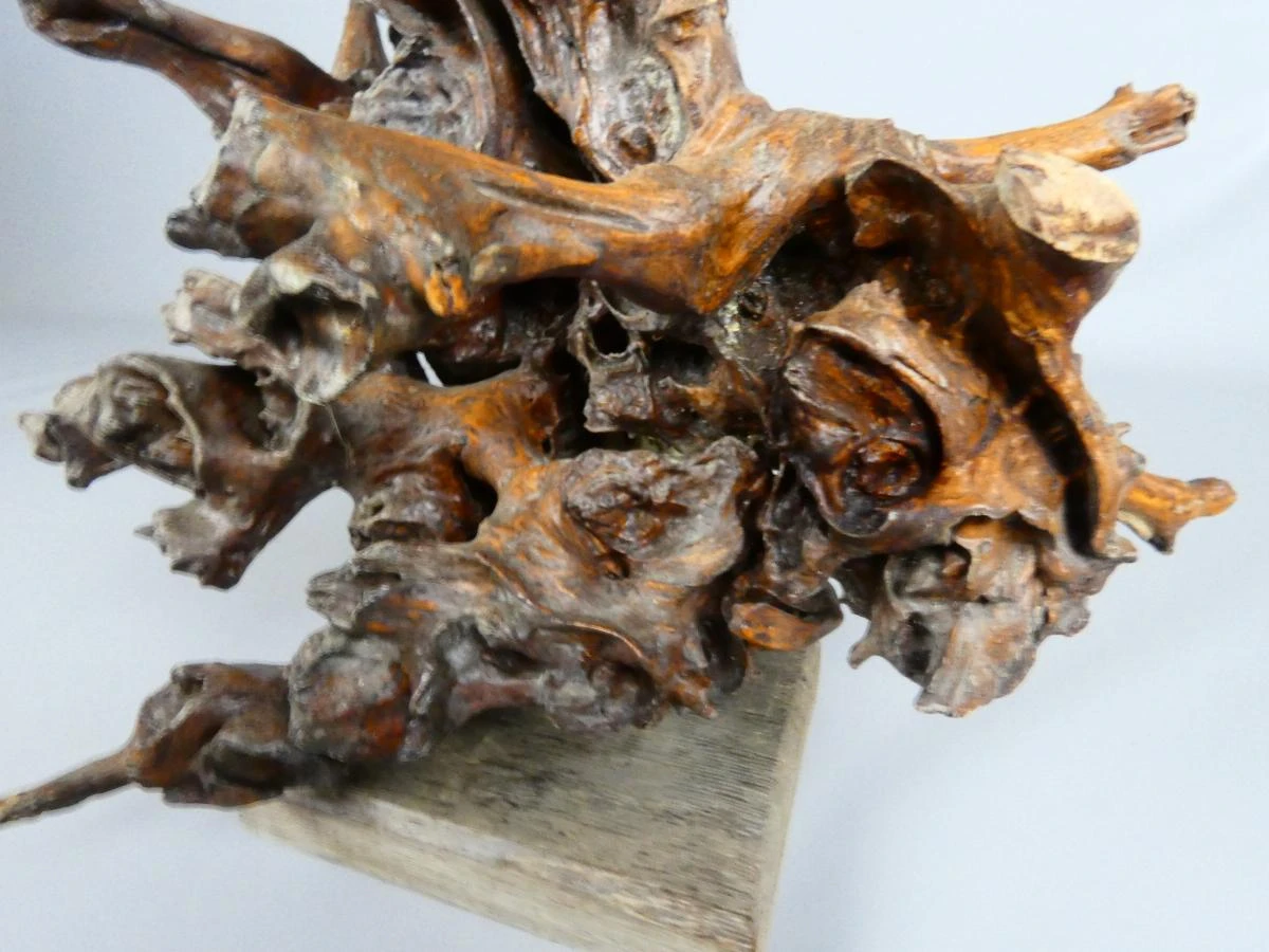 Oude decoratieve houten wortel op houten voet
