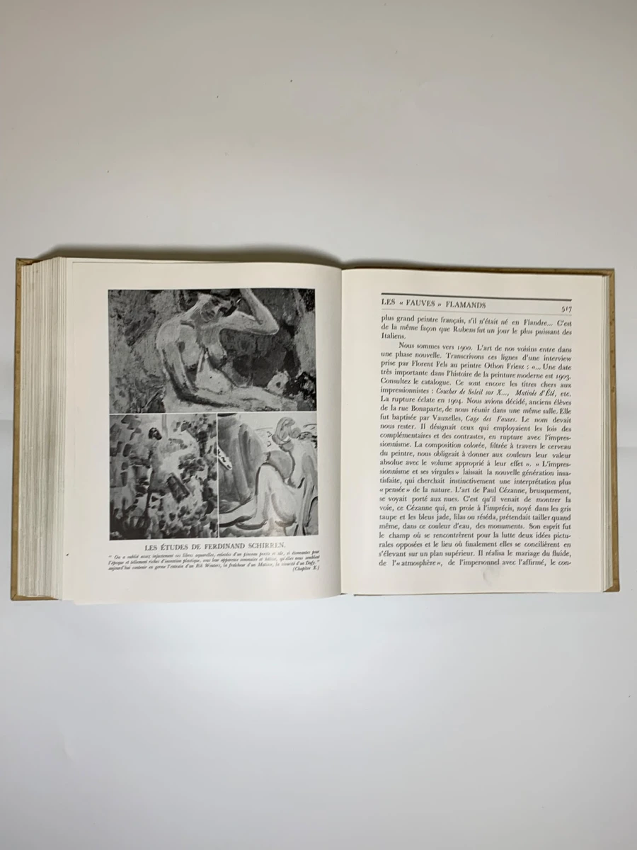 Flandre Essai sur l'art flamand depuis 1880