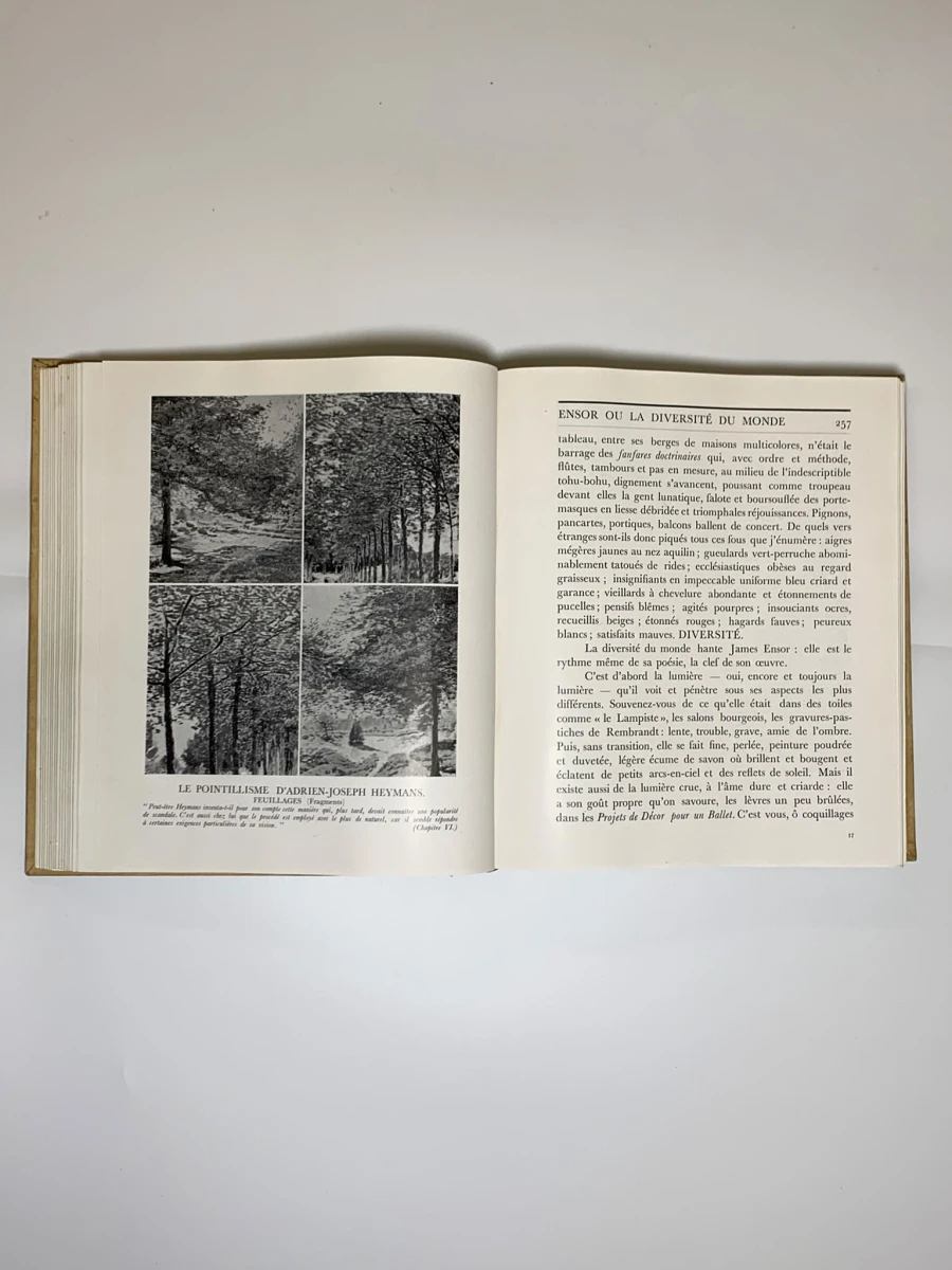 Flandre Essai sur l'art flamand depuis 1880