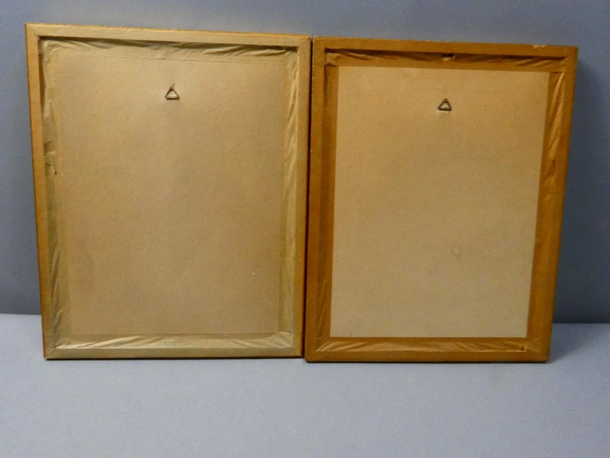 Set van 2 vintage botanische prenten in goudkleurige lijsten