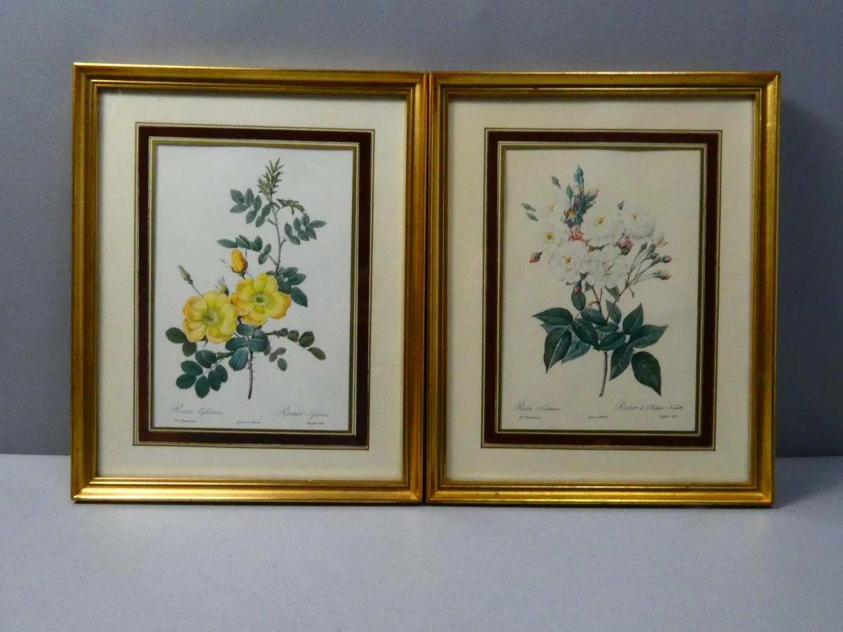 Set van 2 vintage botanische prenten in goudkleurige lijsten